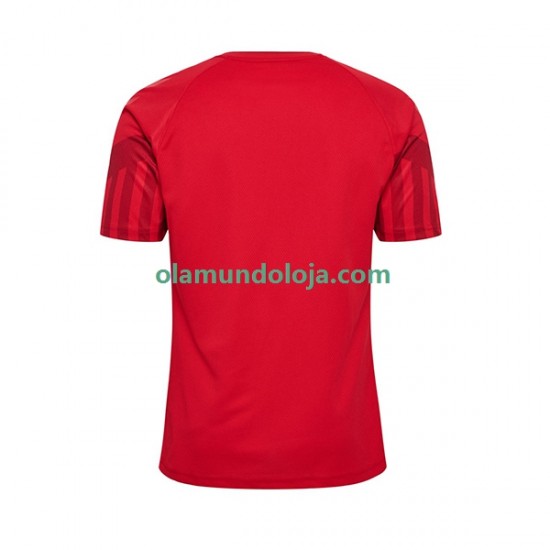 Camisola Dinamarca Homem Equipamento Primeiro Copa do Mundo 2022 Manga Curta